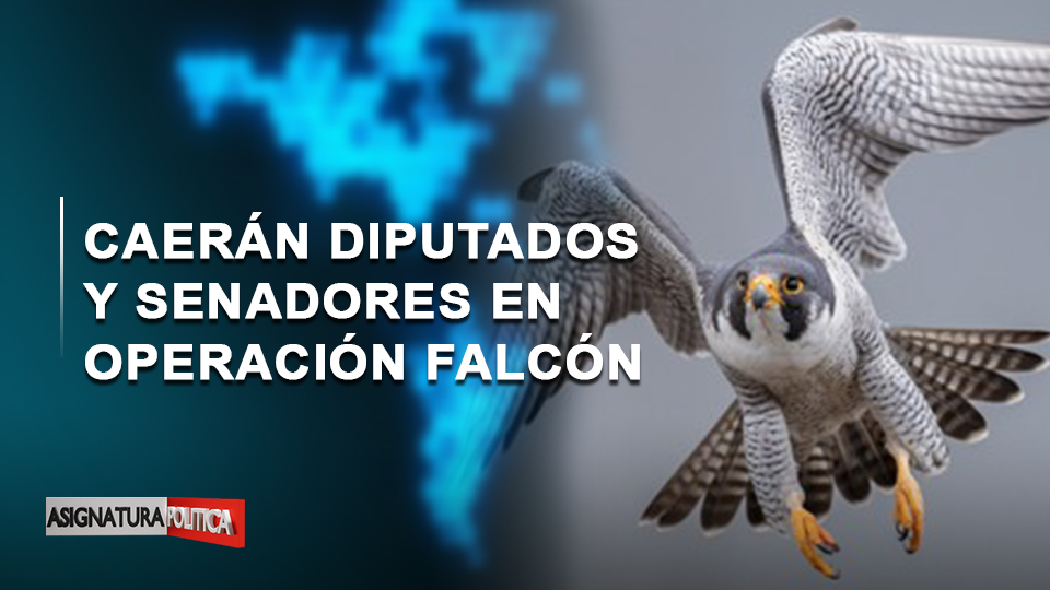 EN VIVO: Caerán Diputados Y Senadores En Operación Falcón | Asignatura Política