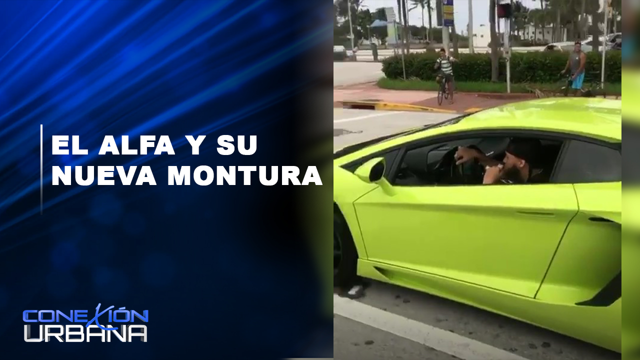 EN VIVO: El Alfa Y Su Nueva Montura | Conexión Urbana