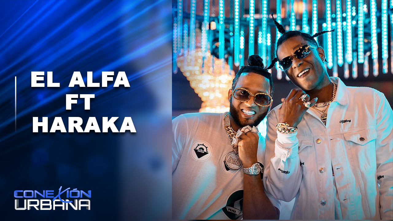 EN VIVO: El Alfa Ft Haraka | Conexión Urbana