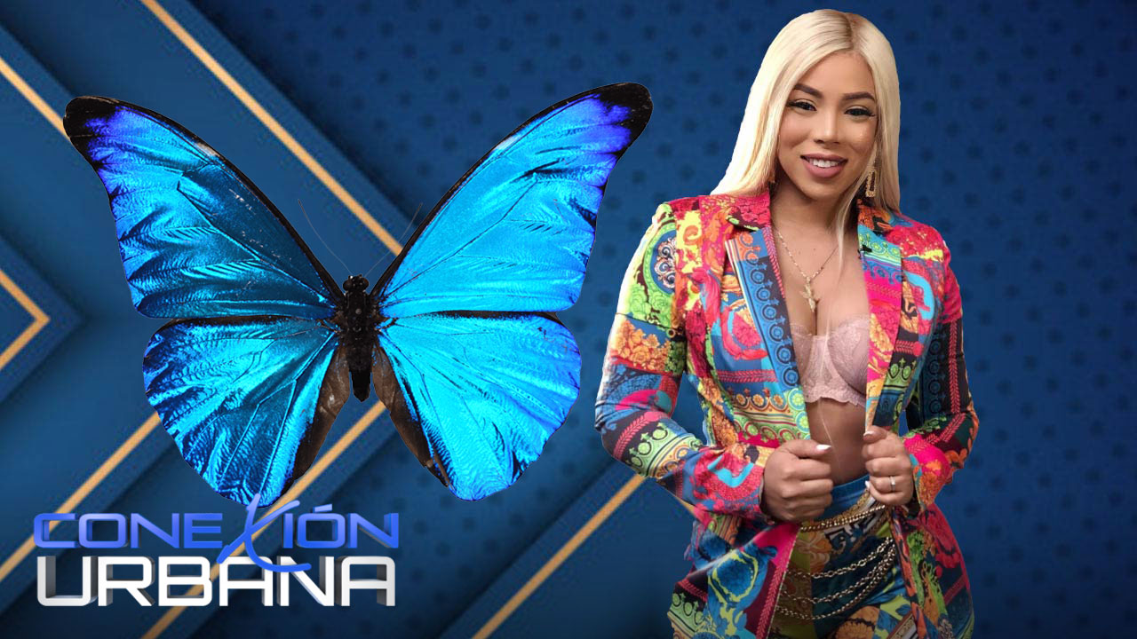 Dj Mariposa Pide Al Gobierno Que No Olvide A Las Personas De La Industria Del Entretenimiento