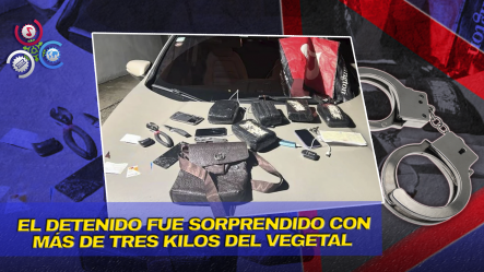 La Policía Nacional Ocupa Cinco Pacas De Presunta Marihuana Y Arresta A Joven De 21 Años En Barahona