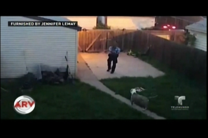 Perturbadores Imágenes Cuando Policía Le Dispara A Dos Perros