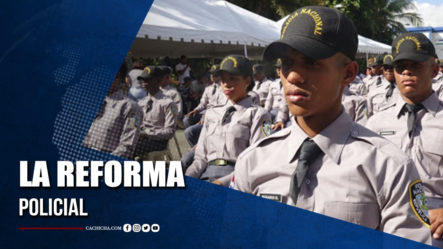 La Reforma Policial  | Tu Tarde