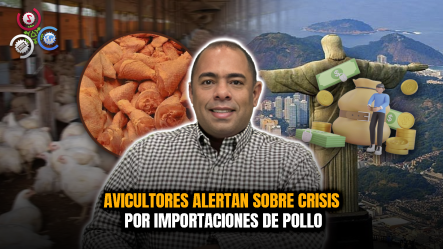 Pollo Brasileño Amenaza Sector Avícola Dominicano