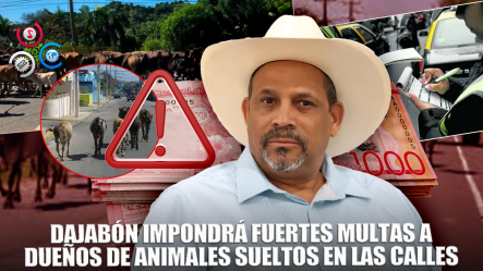 Pondrán Multas De RD$10, 000 A RD$30,000 A Dueños De Animales Sueltos En Las Calles
