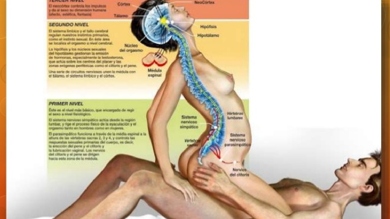 Sexologa Dice LOS TRUCOS De La Eyaculación Femenina | Tu Mañana