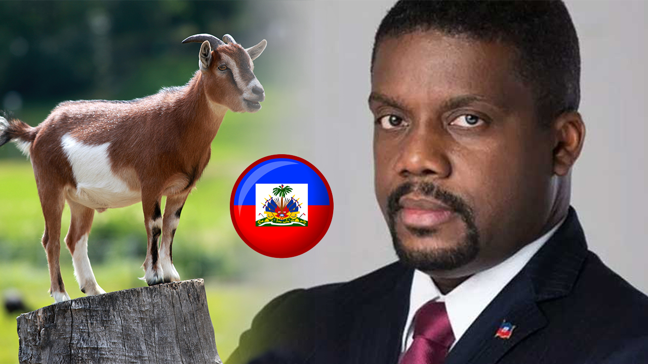 Primer Ministro De Haití Desembolsa 60 Mil Dólares Para Comprar Chivos