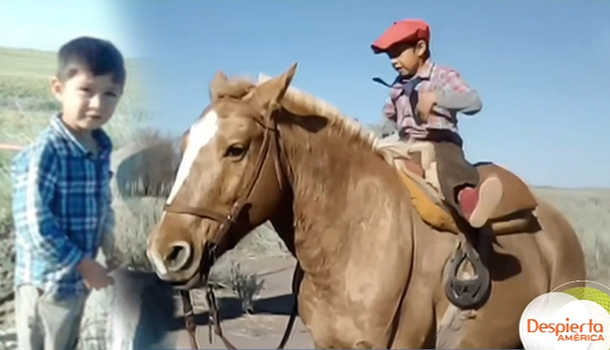La Historia De Jeremías El Niño Que Sube Una Loma A Caballo Para Poder Enviar Sus Tareas