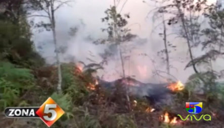 Las Manos Criminales Detrás De La Ola De Incendios Forestales Que Azota El País
