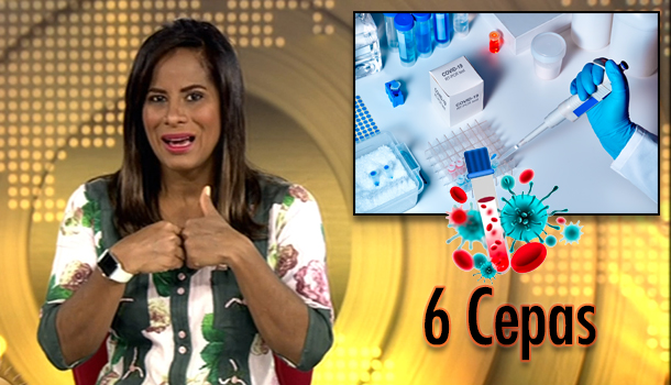 Investigación Científica Revela Que Hay 6 Manifestaciones De Coronavirus Con Síntomas Diferentes