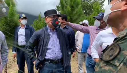 Presidente Medina Visita Los Proyectos De Reforestación En Cuencas Hidrográficas