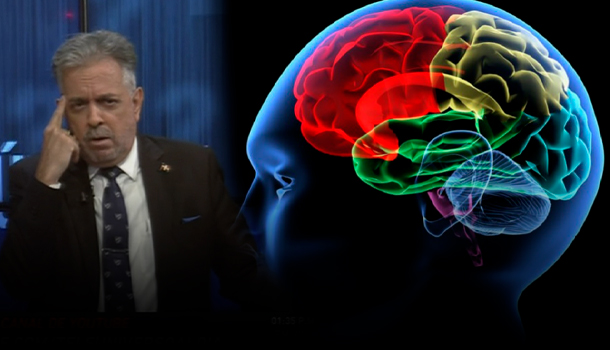 Los tres Cerebros Que Posee El Ser Humano Y Las Consecuencias Que Causan – “Pregúntale a Juan?”