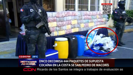 DNCD Decomisa 444 Paquetes De Supuesta Cocaína En La Costa De SPM