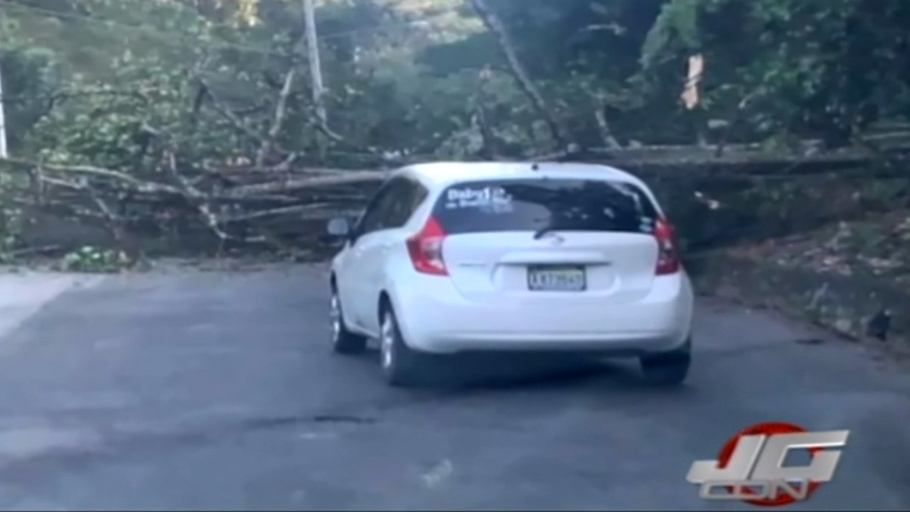 Derrumbe De Árbol En Carretera De Jarabacoa Causa Tremendo Tapón