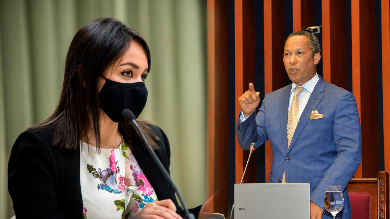 Dionis Sánchez Y Faride Raful Niegan Que El Gobierno Haya Influenciado En Escogencia De JCE