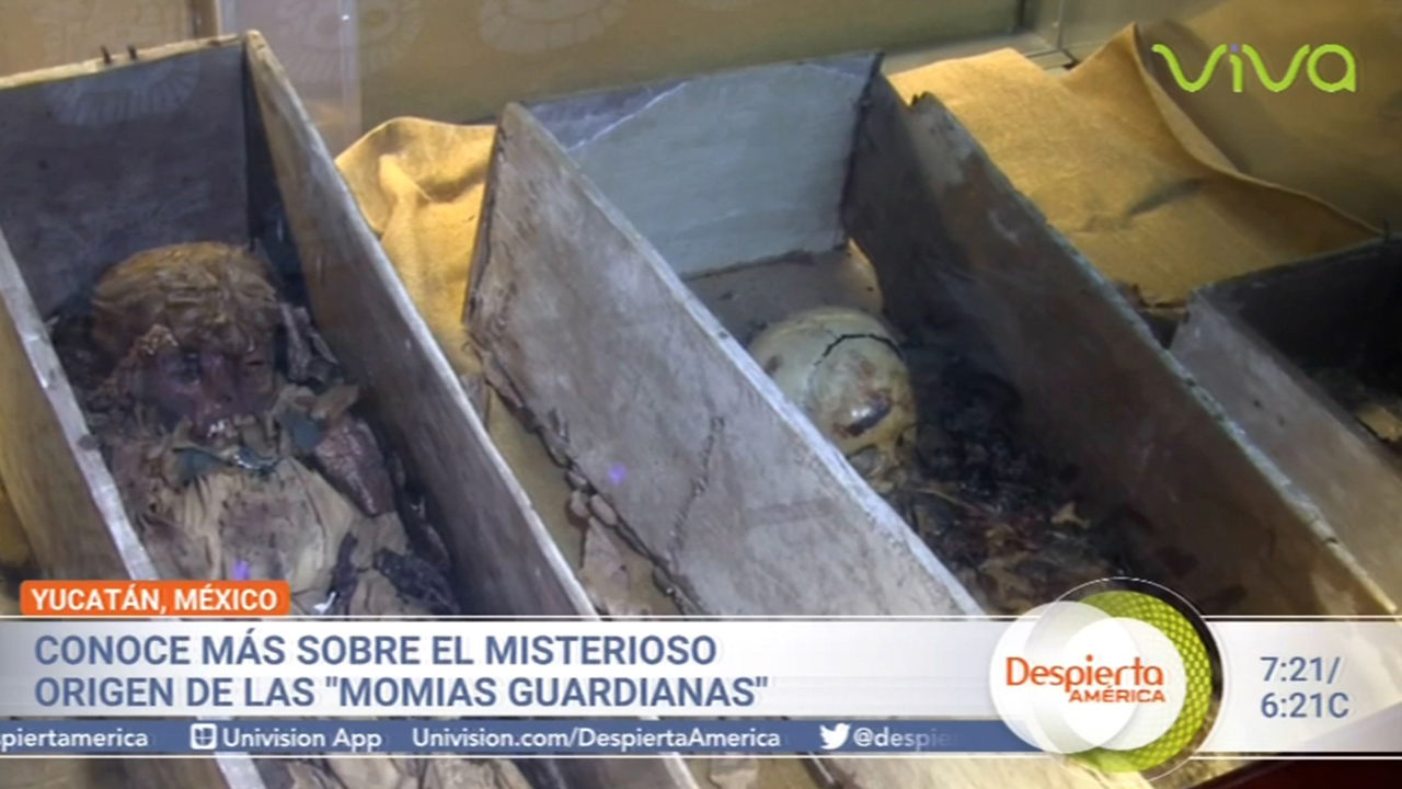 Conoce Sobre El Misterioso Origen De Las “Momias Guardianas”