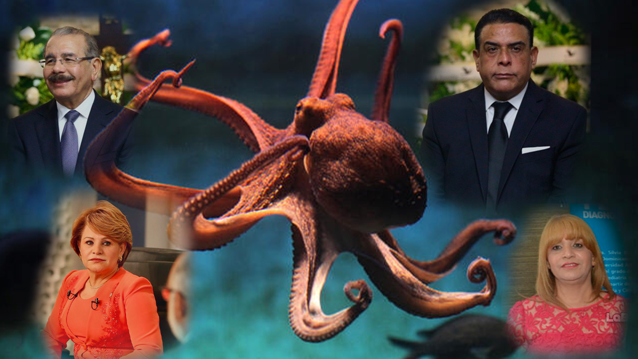 Discuten Implicación De Lucía Medina En La Operación Anti Pulpo