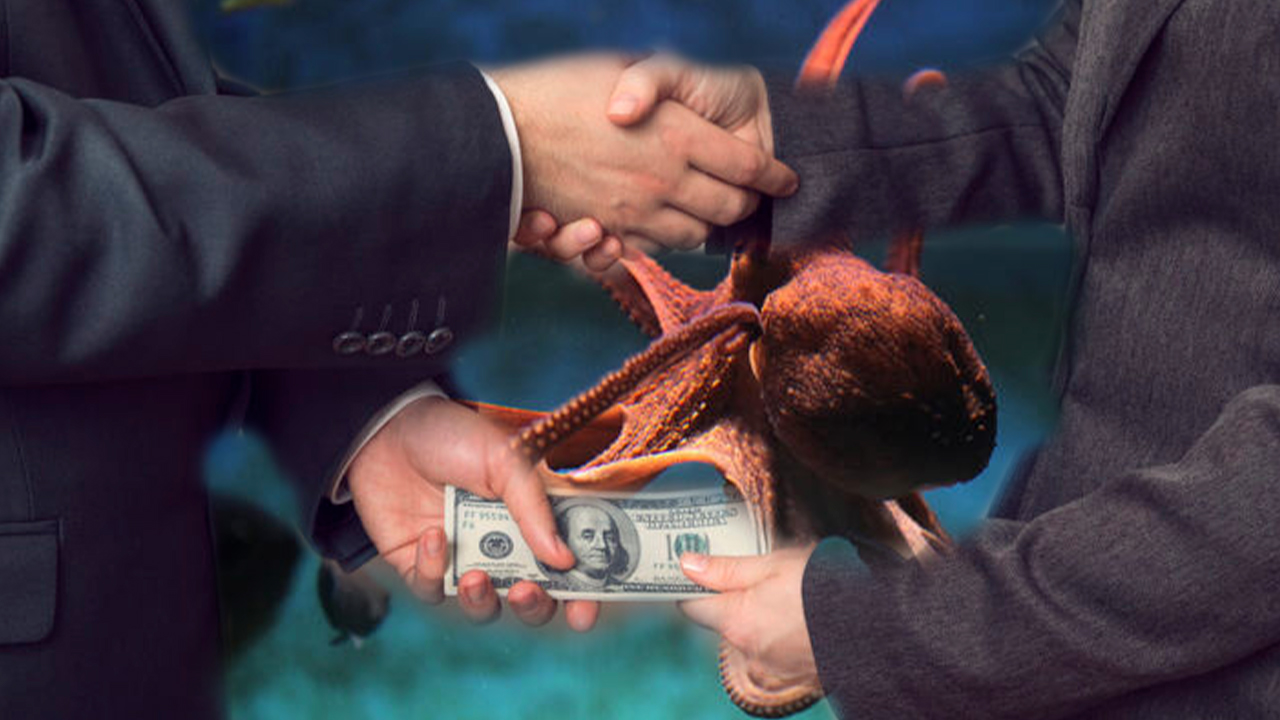 Operación Anti Pulpo Es El Inicio De Un Largo Proceso De Lucha Contra La Corrupción