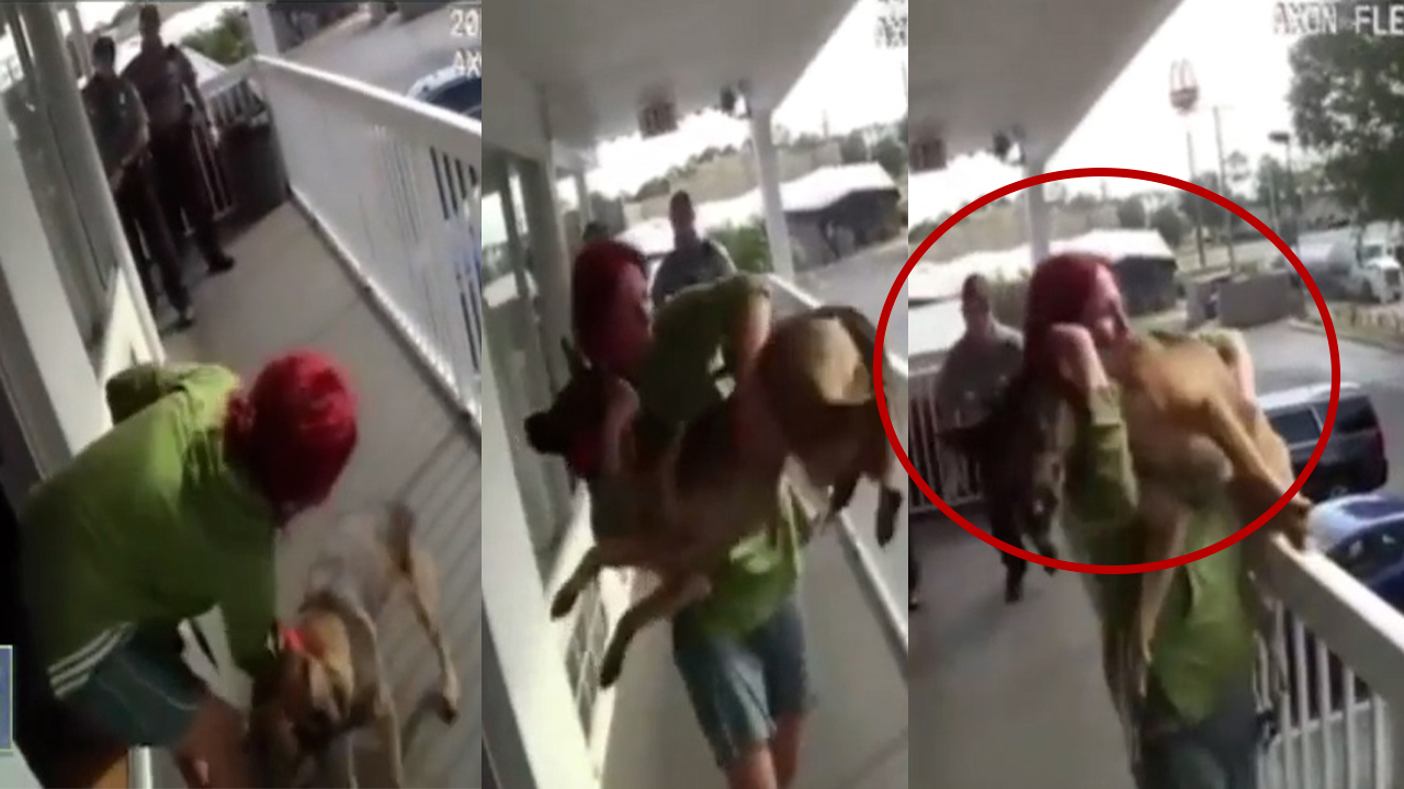 Mujer Lanza A Su Perro Por El Balcón Para Prevenir Ser Arrestada