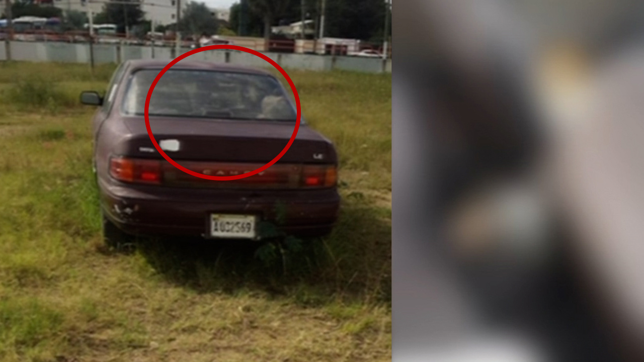 Encuentran Cuerpo En Estado De Descomposición En Un Solar Ubicado En La Entrada De Santiago