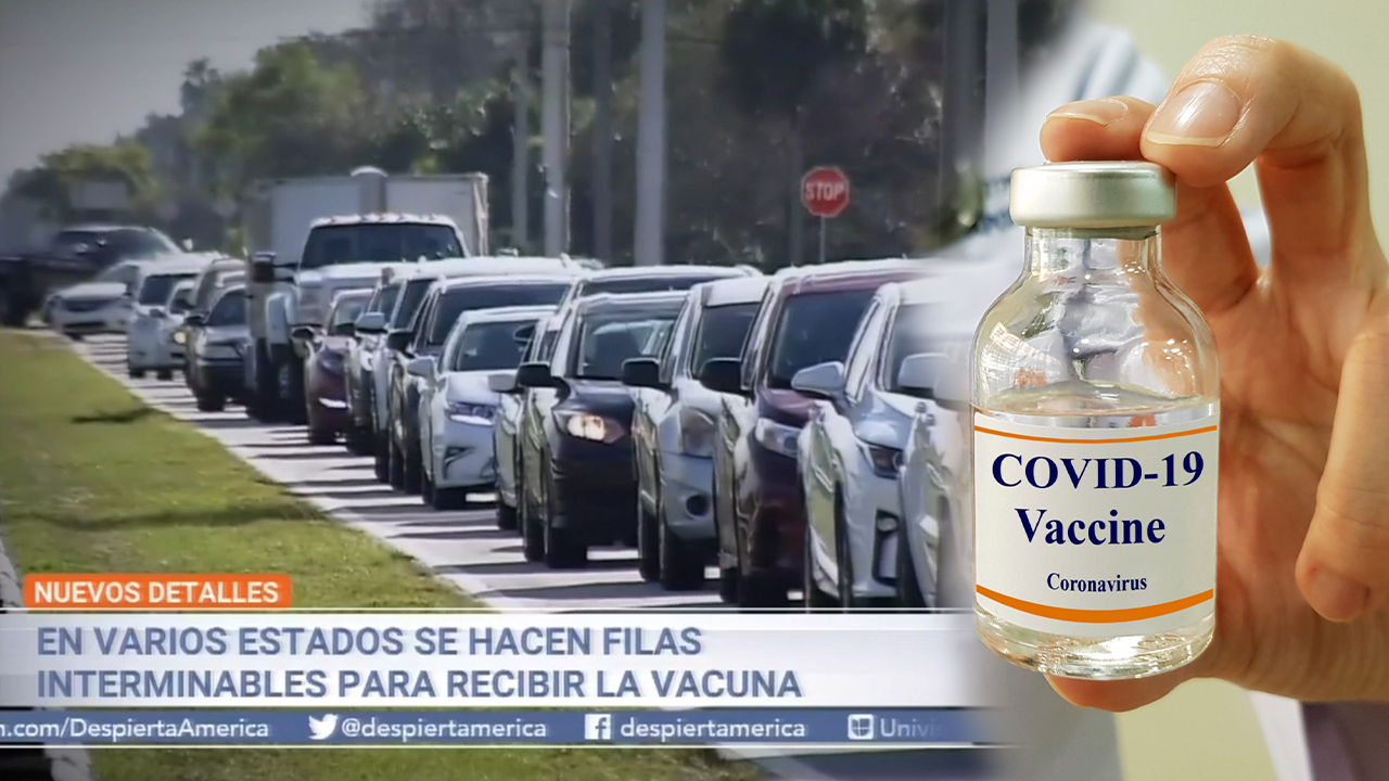 Varios Estados De EEUU Hacen Filas Interminables Para Recibir La Vacuna