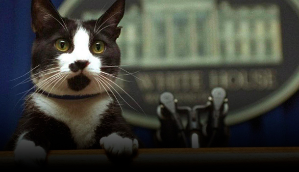 Conoce La Historia De Algunas De Las Mascotas Que Han Vivido En La Casa Blanca