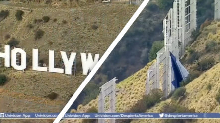 Convierten A Hollywood En “HOLLYBOOB” Y Arrestan A 6 Personas
