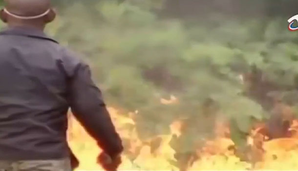 Procuraduría Incinera Cargamento De Marihuana Y Cocaína Decomisada Del Narcotráfico