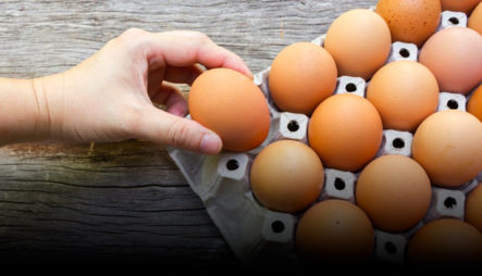 ¿El Consumo Regular De Huevos Perjudica La Salud? Dos Estudios Difieren En La Respuesta