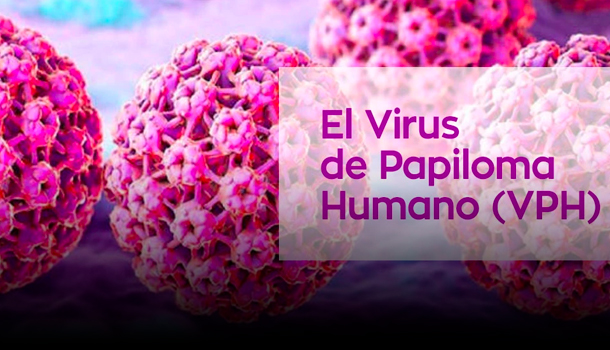 El Virus Del Papiloma Humano Y Las Vacunas En Consultando Con Ana Simó