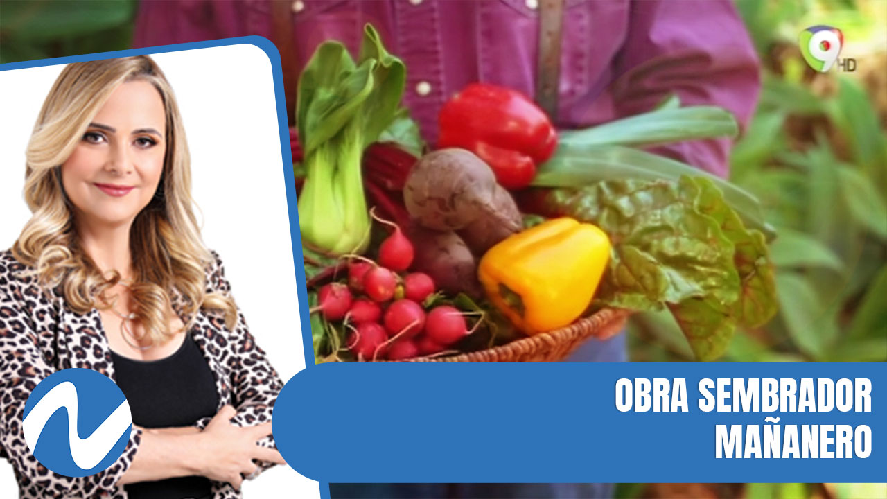 Obra Sembrador Mañanero | Nuria Piera