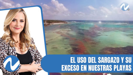 El Uso Del Sargazo Y Su Exceso En Nuestras Playas | Nuria Piera