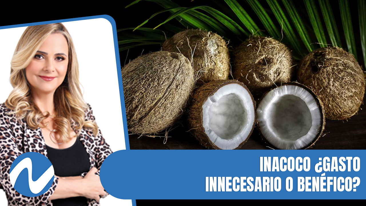 INACOCO ¿Gasto Innecesario O Benéfico? | Nuria Piera