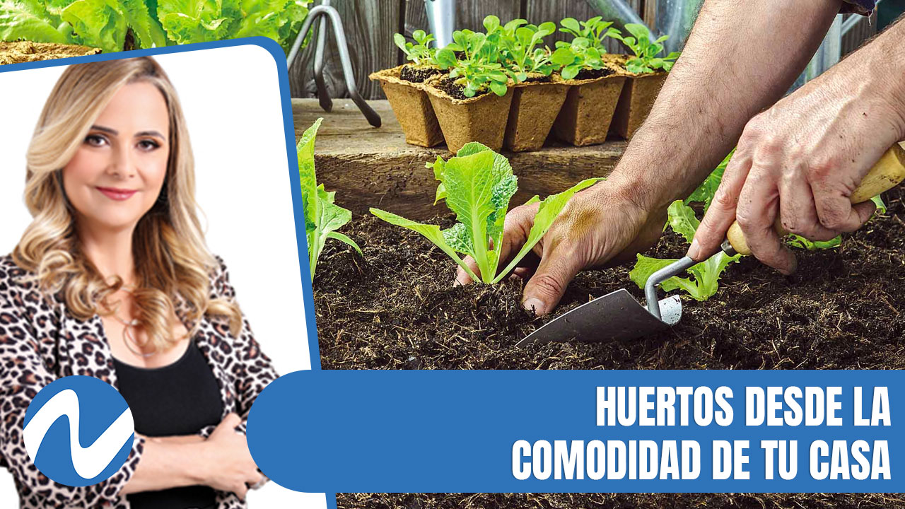 Huertos Desde La Comodidad De Tu Casa | Nuria Piera