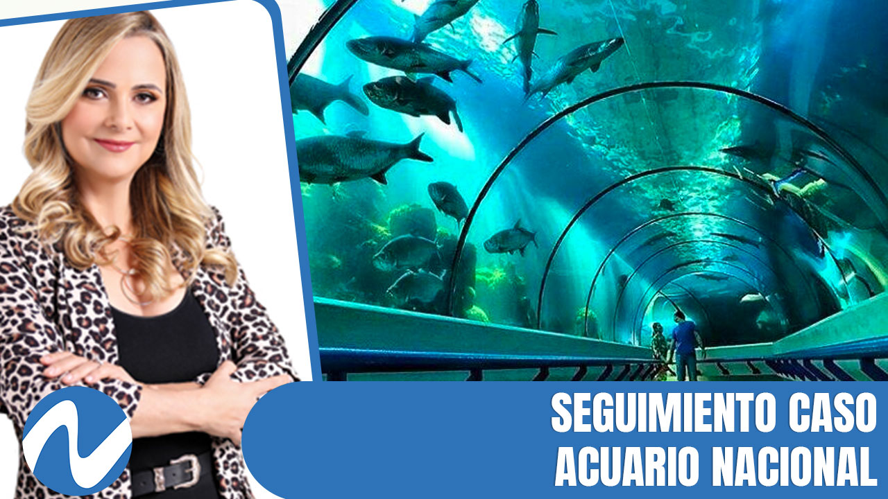 Seguimiento Caso Acuario Nacional | Nuria Piera