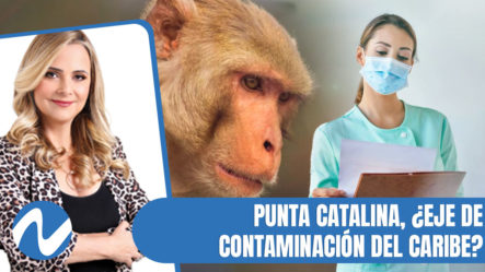 Enfermeras Denuncian No Han Sido Entrenadas Para Tratar Casos De Viruela Del Mono