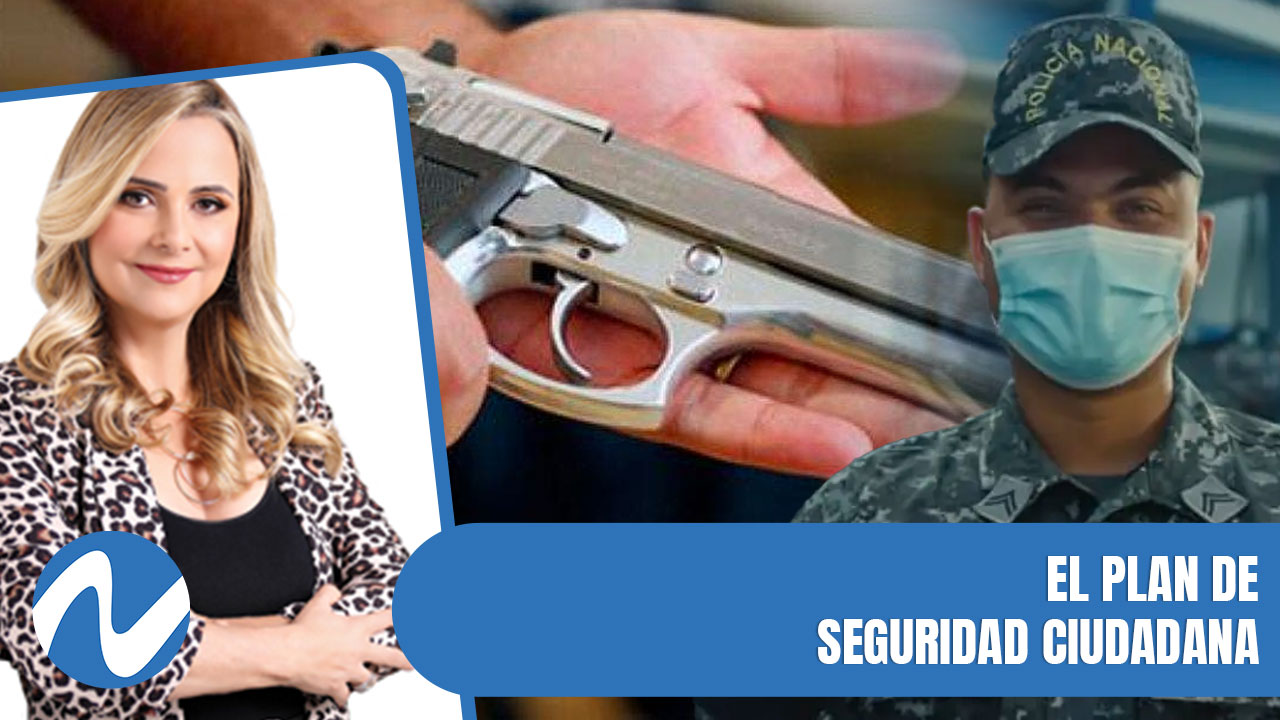El Plan De Seguridad Ciudadana | Nuria Piera