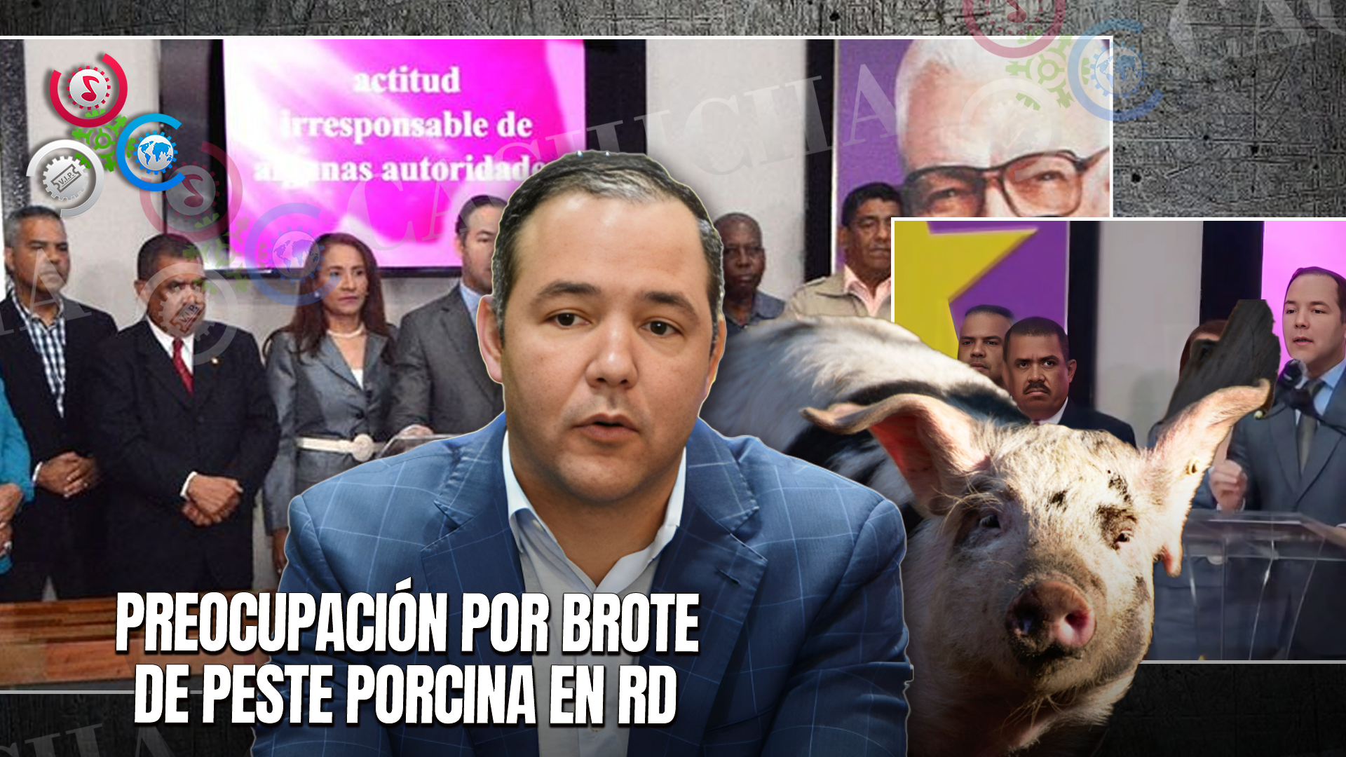 PLD Propone Plan Nacional De Emergencia Para Erradicar Peste Porcina En RD