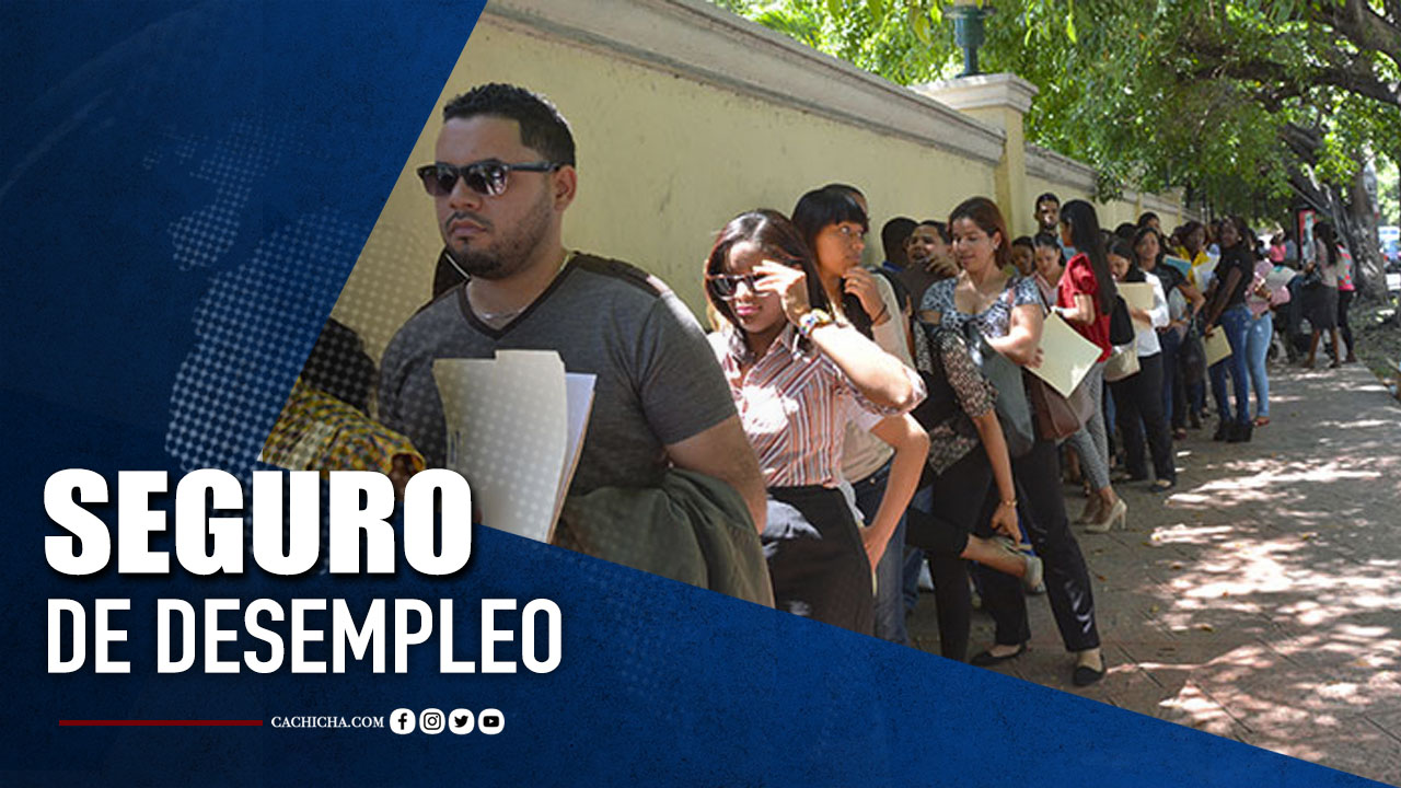 Presidente De Comisión Bicameral Habla Sobre El Seguro De Desempleo | Tu Tarde