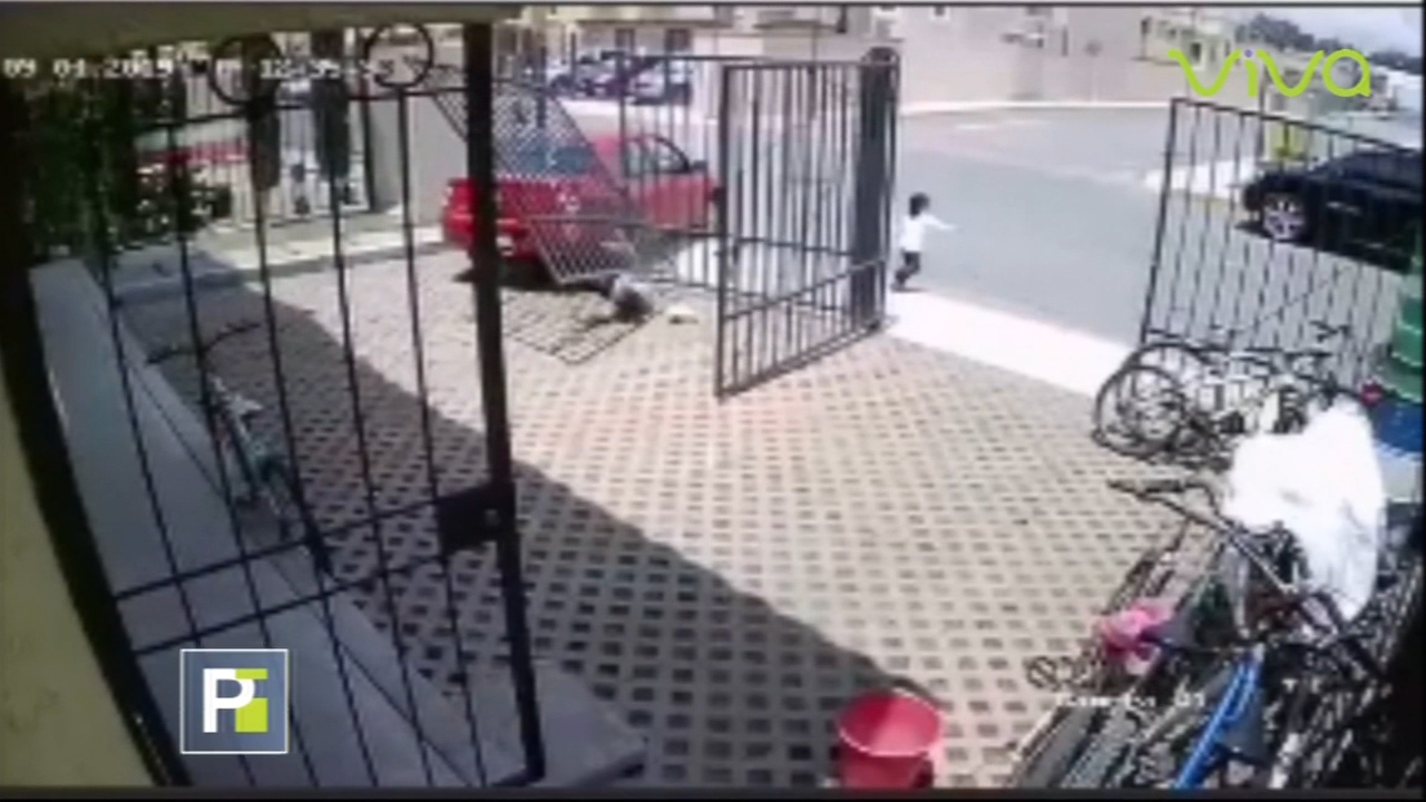 Aterrador Accidente De Tránsito Casi Le Quita La Vida A Una Niña Y A Su Padre