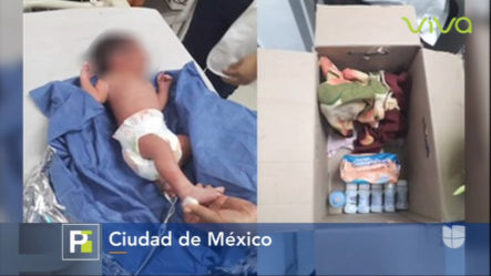 En Solo 24 Horas 3 Recién Nacidos Fueron Abandonados A Su Suerte En Distintos Puntos De La Ciudad De México
