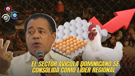 Producción De Huevos Muestra Un Crecimiento Del 25% Y Buscan Estandarizar La Calidad Para Cuidar Las Exportaciones