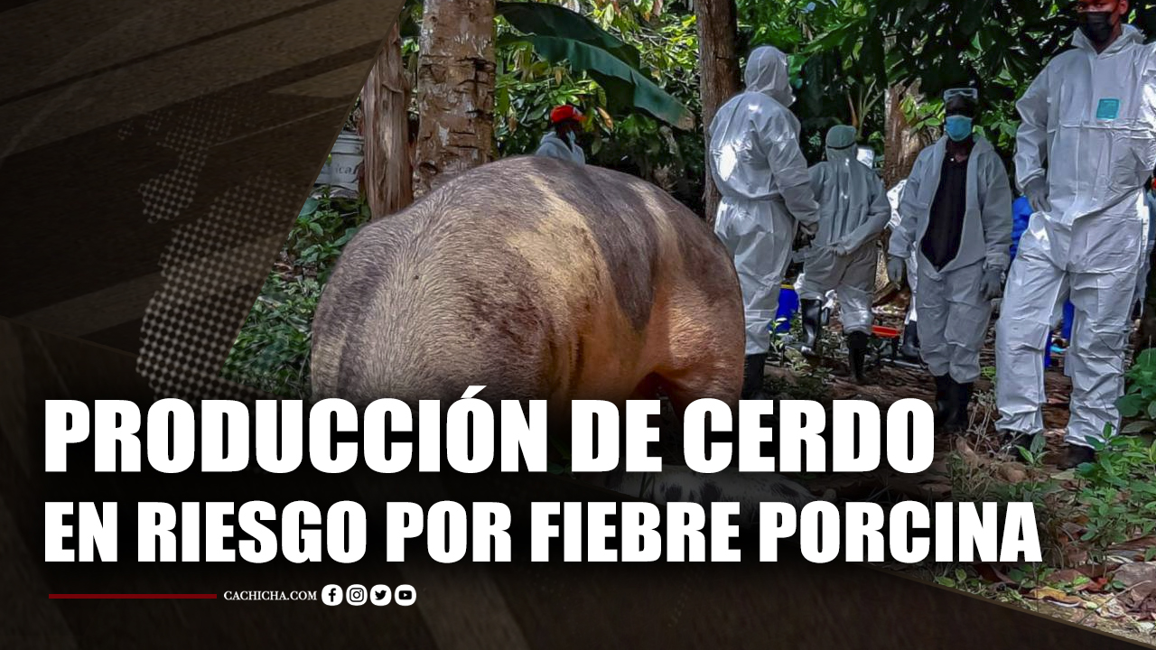 EN VIVO: Tu Mañana By Cachicha | 04 Agosto | #TuMañana