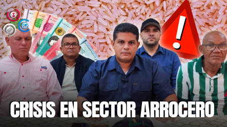 Productores De Arroz Emiten Alerta Roja Por Incumplimiento De Las Autoridades