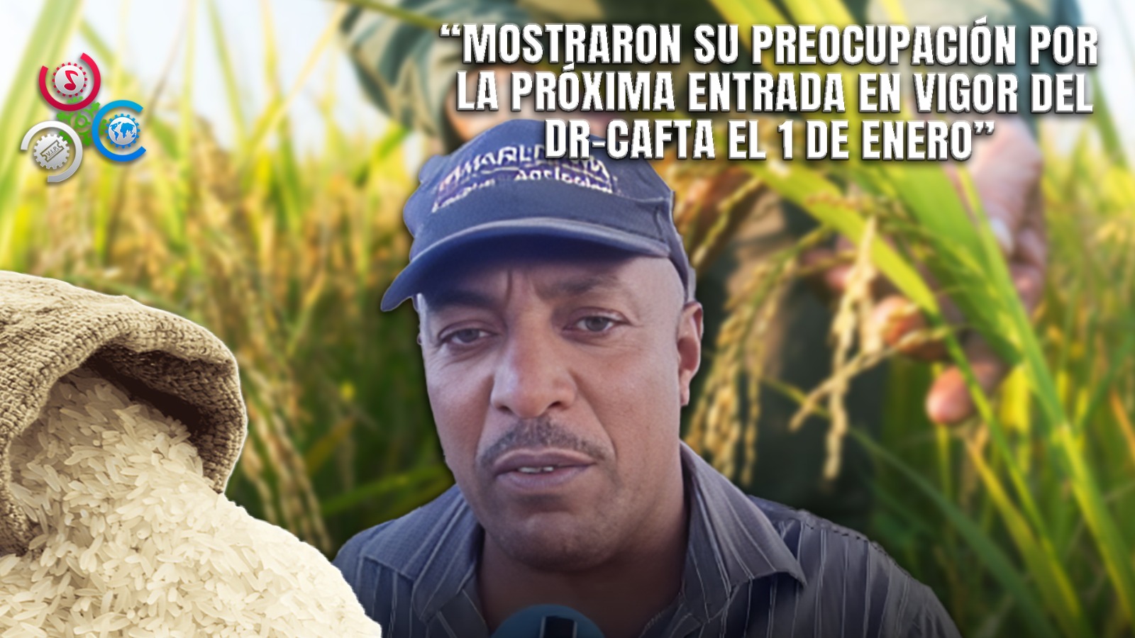 Productores De Arroz Y Molineros De La Frontera Alertan Sobre El Impacto Del DR-CAFTA En Su Sector