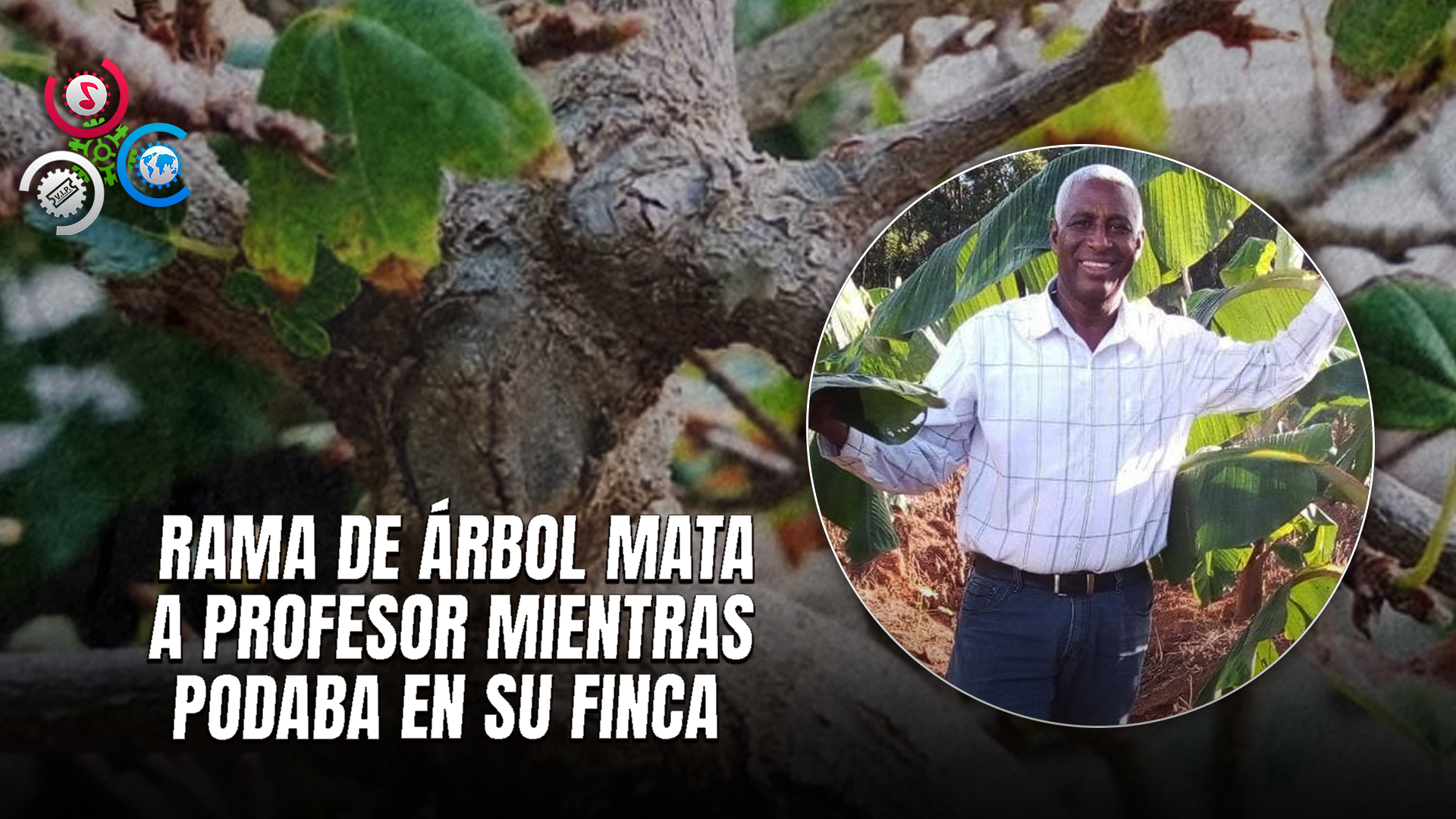 Profesor Fallece En Su Finca; Fue Golpeado Por Una Rama