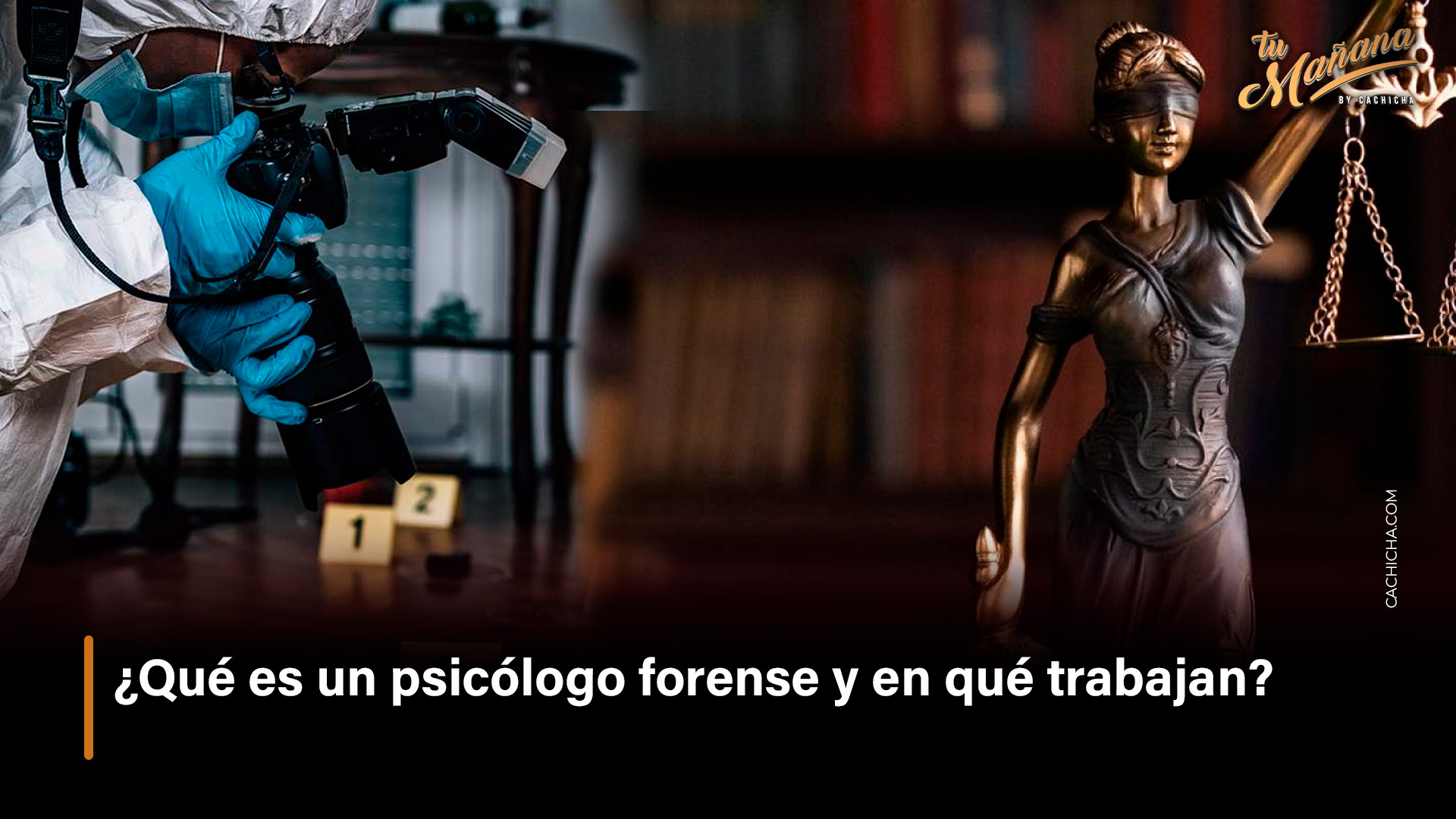 ¿Qué Es Un Psicólogo Forense Y En Qué Trabajan?