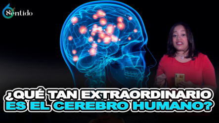 ¿Qué Tan Capaz Y Extraordinario Es El Cerebro Humano? – 6to Sentido By Cachicha