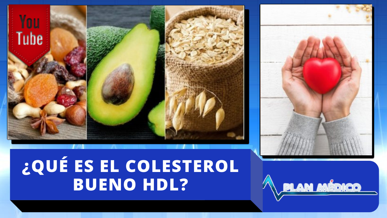 Entérate ¿Qué Es El Colesterol Bueno HDL? En Plan Médico De Cachicha Tv