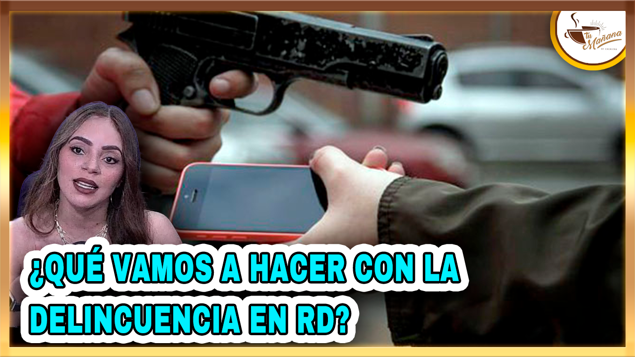 ¿Qué Vamos A Hacer Con La Delincuencia En RD? | Tu Mañana By Cachicha